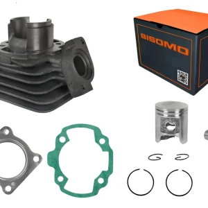 Zylindersatz, Zylinderkit, Zylinder 50ccm Peugeot Motor stehend, AC Luftgekühlt für Hercules Limbo Reggae Splinter Peugeot Buxy, Speedfight 2, Squab, Sachs Preisknaller