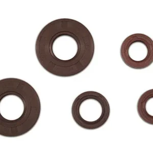 5 Wellendichtringe im Satz Braun 1. Qualität für Simson S50, KR51, Schwalbe KR51-1 Fußschaltung, Star, SR4-2, Sperber SR4-3, Habicht SR4-4 Bestpreis