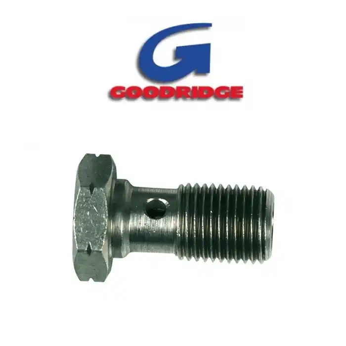 Solange Der Vorrat Reicht Hohlschraube | M10 x 1 | silber