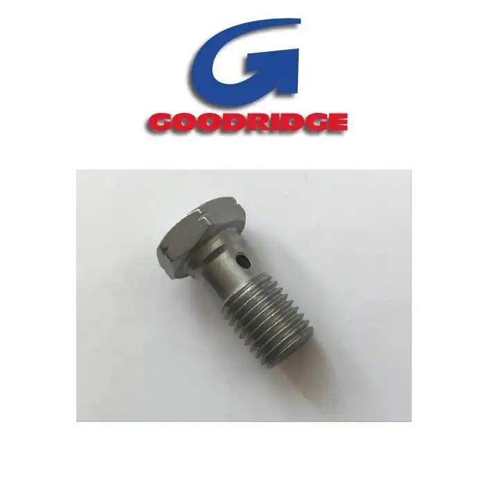 Hohlschraube | M10 x 1,25 | silber | Schneller Versand