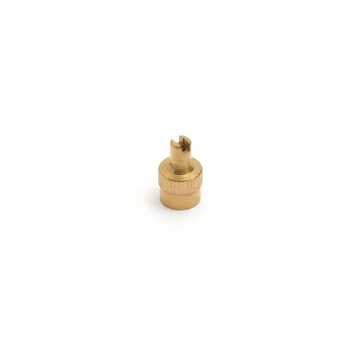 Knallerangebot Brass valve cap with valve insert screwdriver