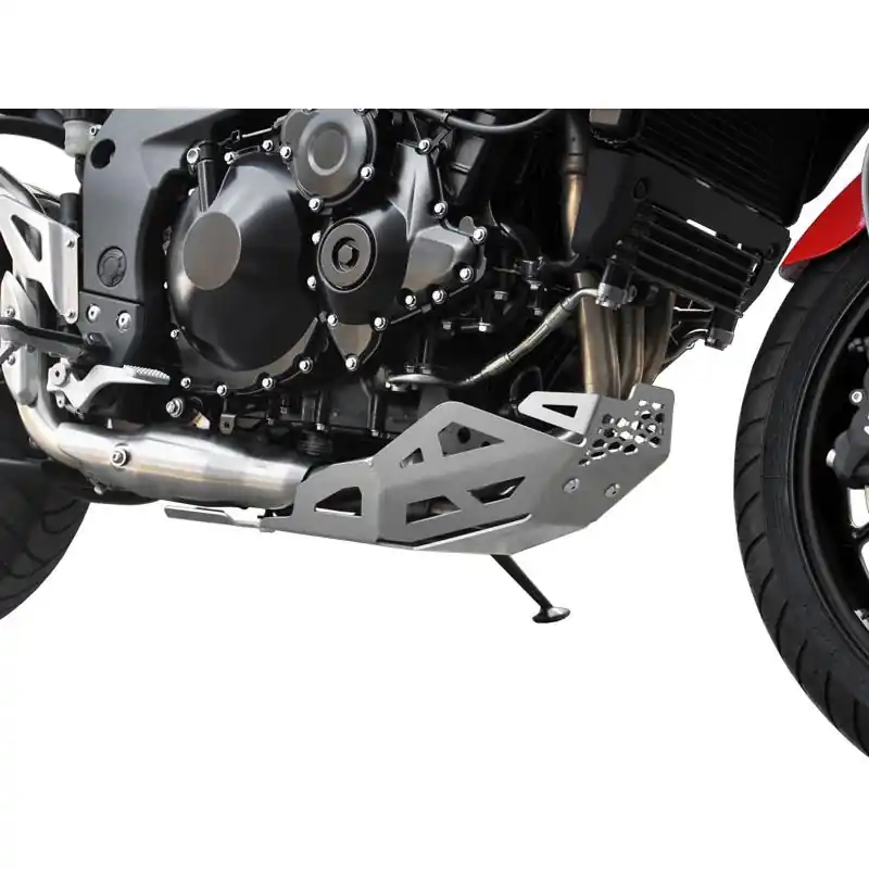 Finale Aktion IBEX Motorschutz für Triumph Tiger 1050 / Tiger 1050 Sport 2006 - 2015 in silber