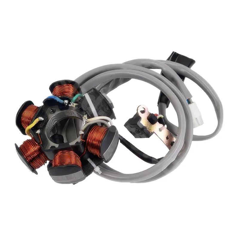 Neu Im Sortiment ScooterLibre Zündankerplatte 294971